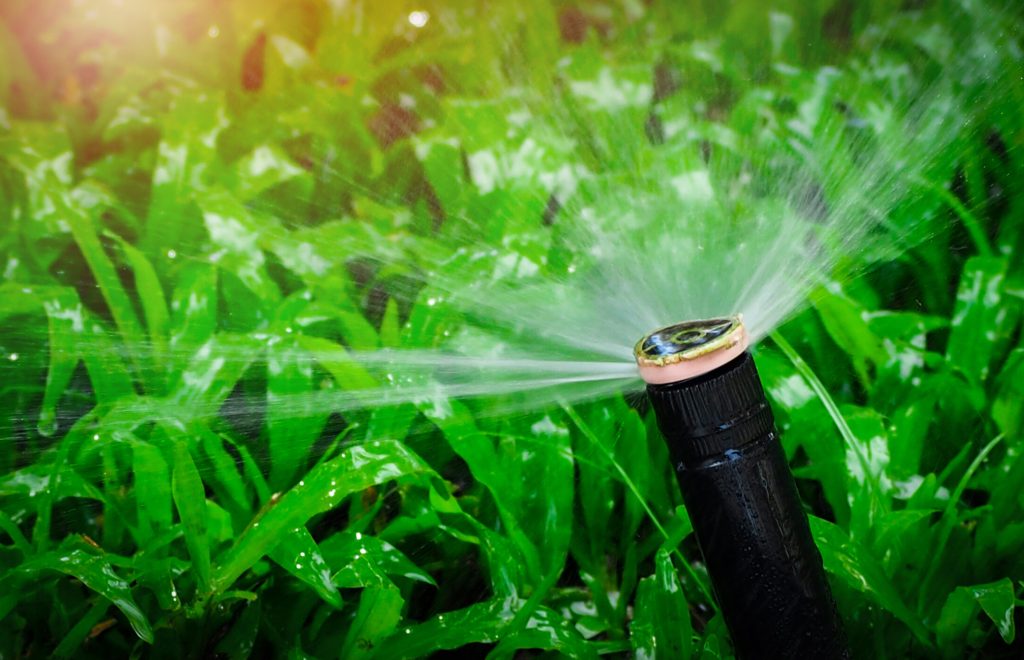 Automatic lawn sprinkler watering green grass. Sprinkler with automatic system. Garden irrigation system watering lawn. Water saving or water conservation from sprinkler system with adjustable head.